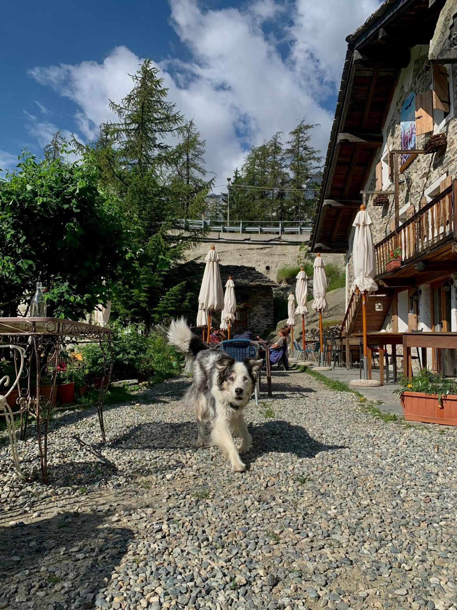 צ'רסולה ריאלה Chalet Del Lago מראה חיצוני תמונה