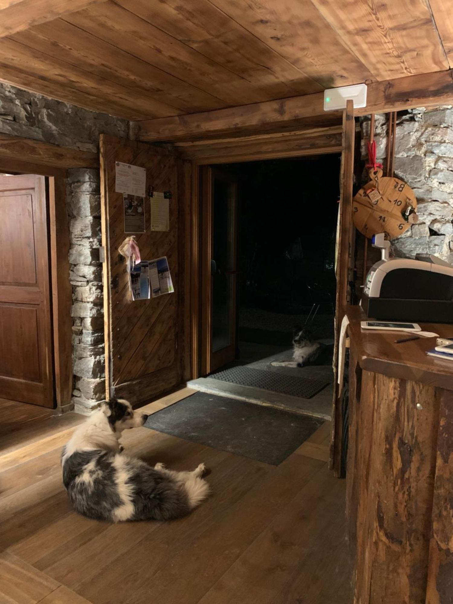 צ'רסולה ריאלה Chalet Del Lago מראה חיצוני תמונה